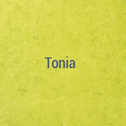 Tonia2